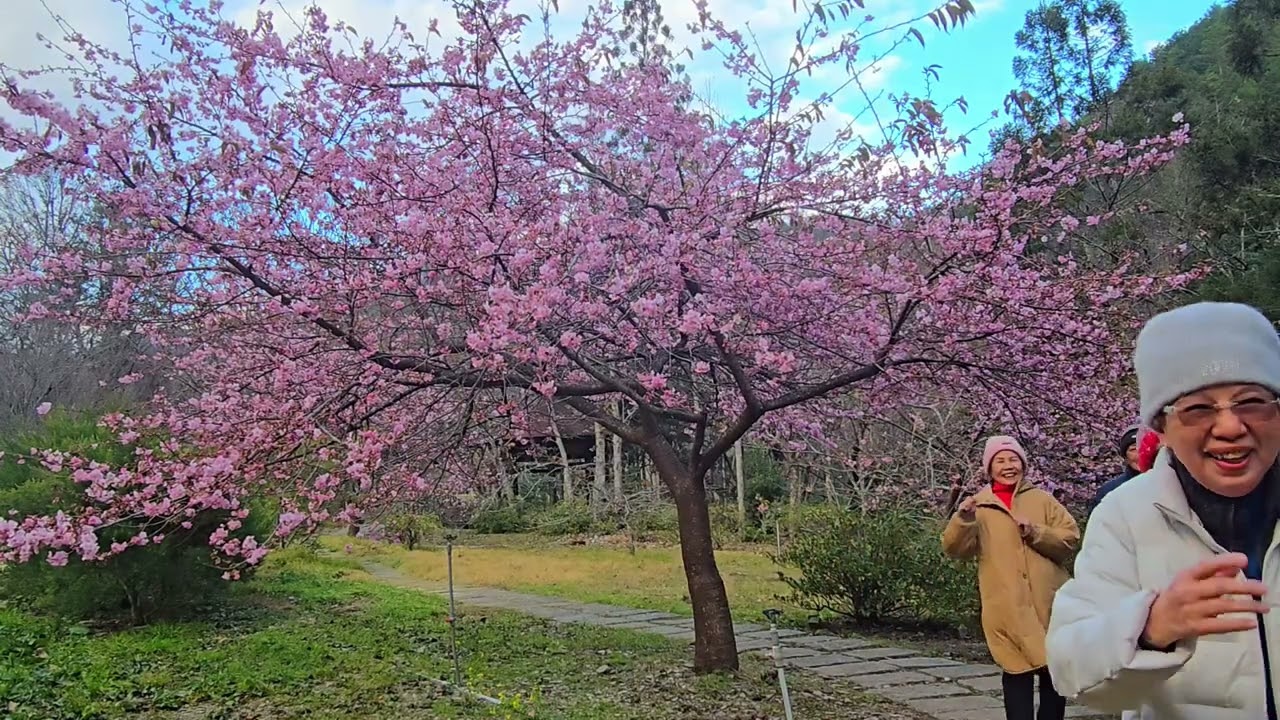 115 01 25~27武陵~福壽山農場第二三天