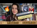 Chasseurs de Flamme, Dark Rise, Le Secret du Faucon : mes lectures de novembre !