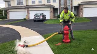 Hydrant Flushing