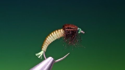 Fly tying a free swimming caddis larva with Barry Ord Clarke