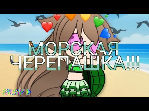 музыка морская черепашка по имени наташка. натали черепашка. морская черепаха по имени наташка. смешная черепашка по имени наташка. морская черепашка наташка.