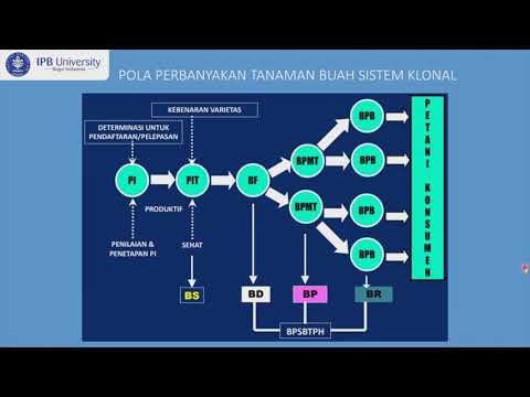 Video: Bagaimana Pembiakan Benih