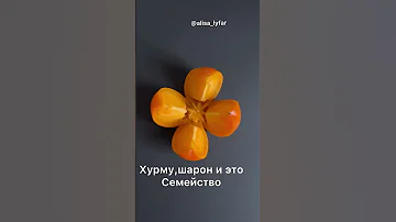 Кому нельзя хурму, королёк и другие плоды этого семейства