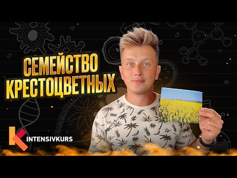 Video: Кул цилиндринин иштебей калышына эмне себеп болот?