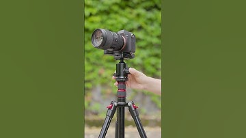 The NEEWER TP77 tripod is compact, lightweight, and essential for all of your adventures!