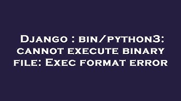 Django : bin/python3: cannot execute binary file: Exec format error