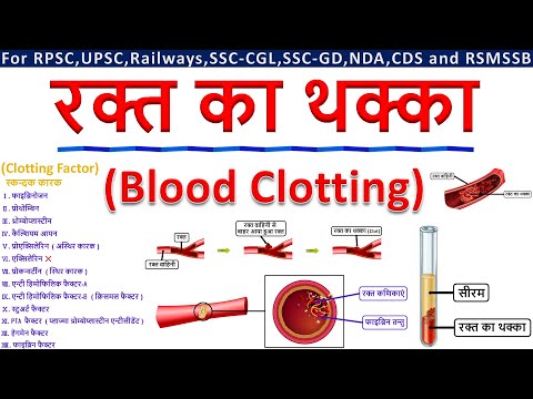 रक्त का थक्का (Blood Clotting) / रक्त स्कन्दन (Blood Coagulation) | Clotting Factor | By StudyHUB