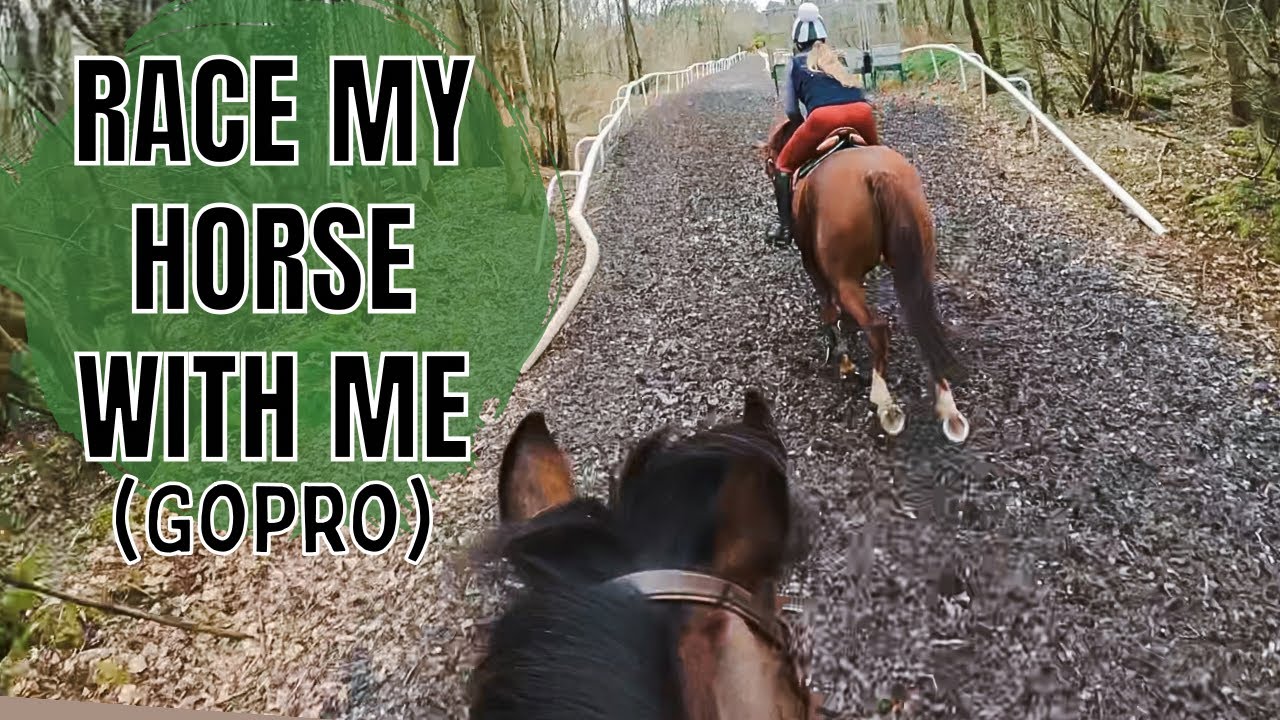 Gopro Pony Racing GALLOPING FUN| Race My Horse With Me!(GoPro) - YouTube