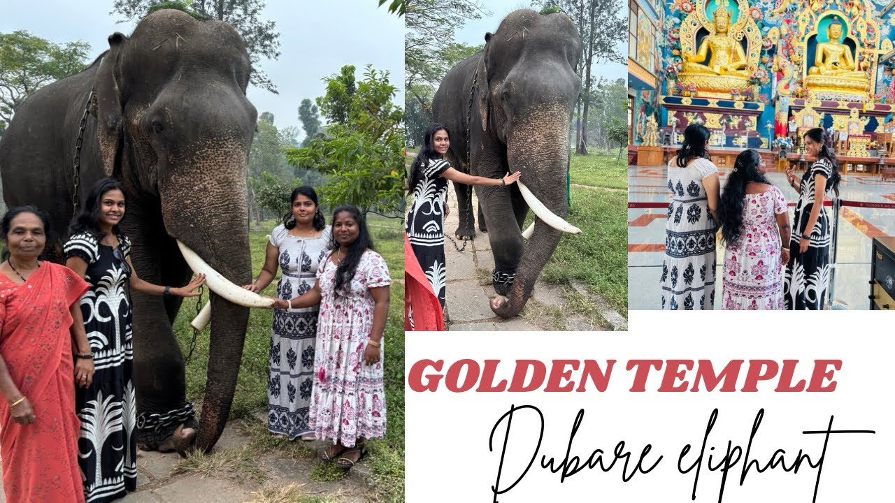 Coorg Golden Temple & Dubare Elephant Camp | Peaceful Spiritual Nature Friends Travel Vlog India Fun