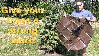 REVIEW: 20 Gallon Tree Watering Ring Bag 2 Pack, Deep Root & Slow Release & Automatic irrigation