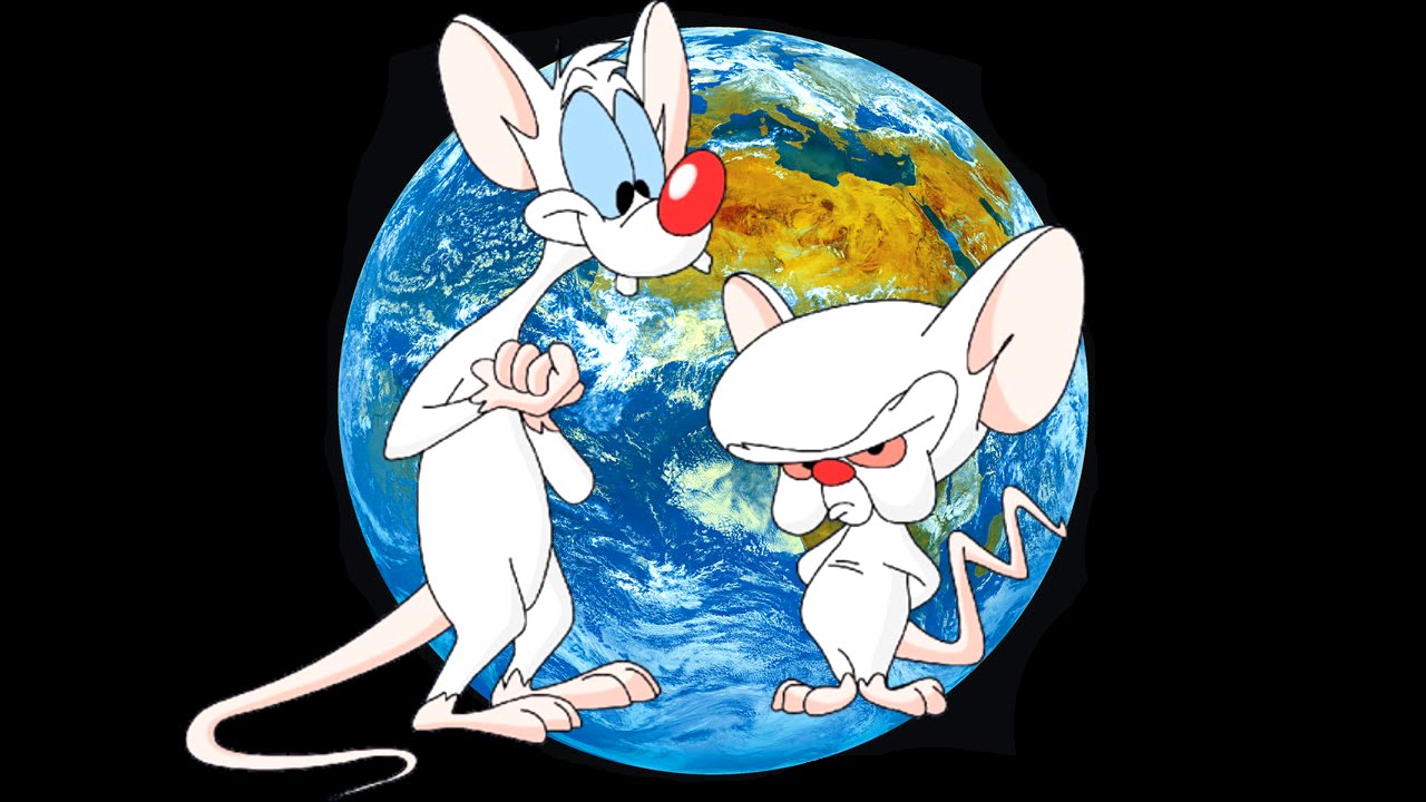 Watch streaming online pinky and the brain episodes and free hd videos. 