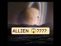 Scientists May Have Found Alien Life