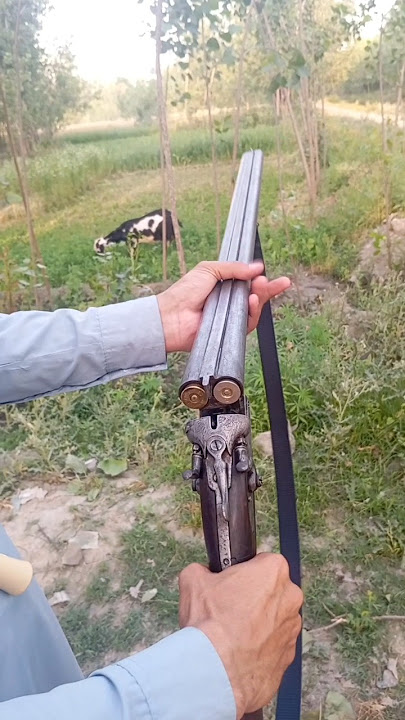 Antique Side-by-Side Shotguns | Old School Double Barrel | Open Hammer Double Barrel Shotgun