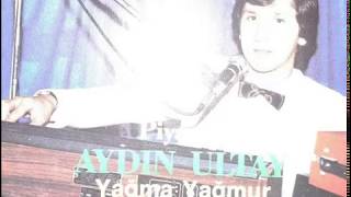 Aydin Ultay Yağma Yağmur Resimi