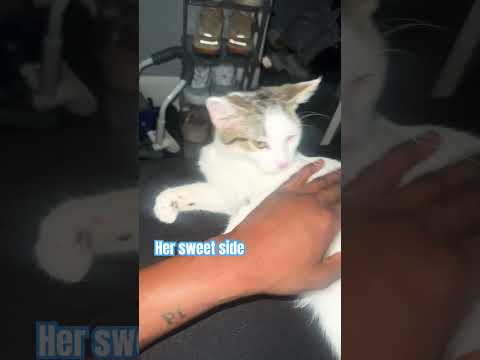 She Be Wylin Thejiggyprince