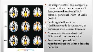 Sommeil Avec Commentaires Copie