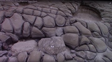 Harvesting a Cell from the Membranes of a Dragon