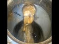 【閲覧注意】台所の排水溝つまり解消！キッチンが油で詰まりまくり…#Shorts [排水管高圧洗浄][Blocked Drain]
