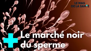 Le dark web du sperme - Le Magazine de la Santé