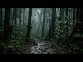 Best Forest Rain Sounds, Relaxing ASMR On Forest Leaves For Deep Sleep Like A Baby
