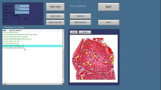MAIKONG 8D NLS VECTOR NLS TRAINING LOVEL BEAUTY Part 2