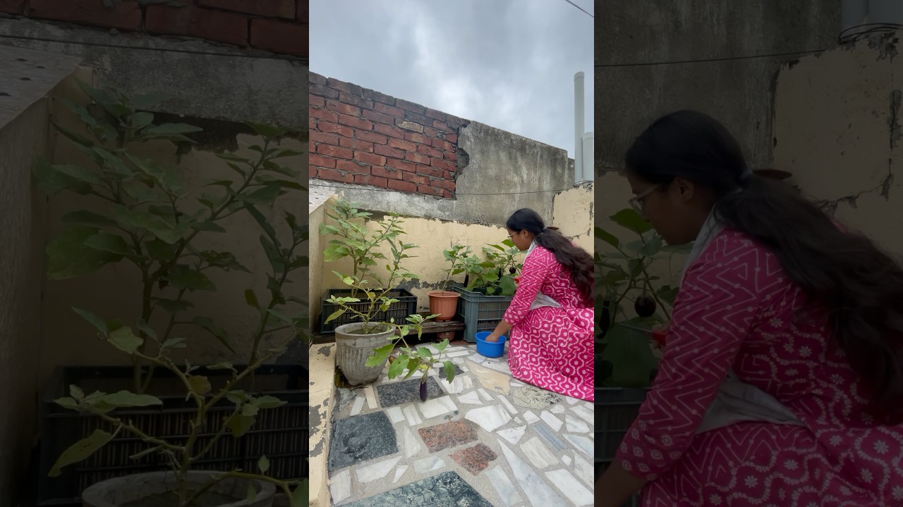 My little efforts to save plants 🪴😭😢😢 #shortvideo #short #ytshorts #gardening