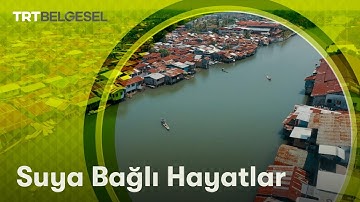 Suya Bağlı Hayatlar | Aile Olmak