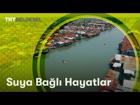 Suya Bağlı Hayatlar | Aile Olmak