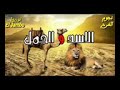 اجمد موال علي فاروق اجمد موال علي فاروق