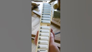 Attaching reeds to the reed block #music #accordionmusic #concertseries #weltmeisterakkordeon