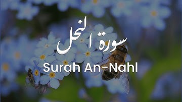 سورة النحل للشيخ علي البراق | المصحف المرتل