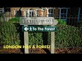 A walk in the People&#39;s Forest - Epping Forest walk (4K)