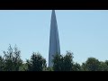 Небоскрёб в лесу (Skyscraper in the forest)