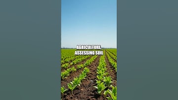 Unveiling the Potential of Smart Dust