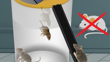Bucket Mouse Trap | Best Mouse Trap - DIY Homemade mouse trap easy