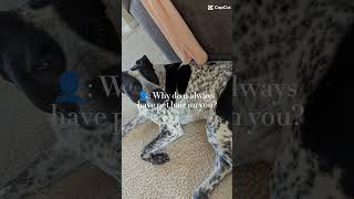 im carrying your love with me https://media.tenor.com/J4C3h0tuzA8AAAAM/shivam.gif