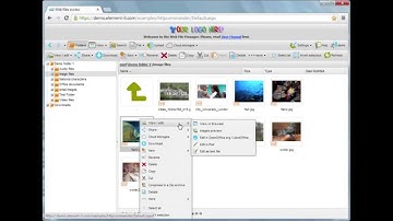 Web file manager HTTP Commander 3.0