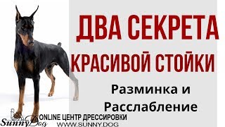 Секреты красивой стойки: разминка и расслабление. Хитрости хендлинга. Секреты красивой стойки: разминка и расслабление. Хитрости хендлинга.