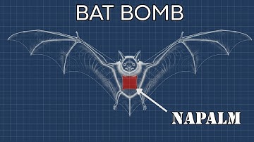 How Bat Bombs Almost Won WWII