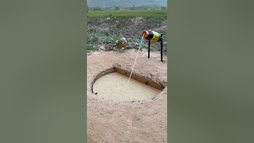 innovative bird trap #youtube