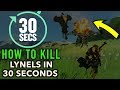 How to Beat a Lynel in 30 Seconds or Less in Zelda Breath of The Wild