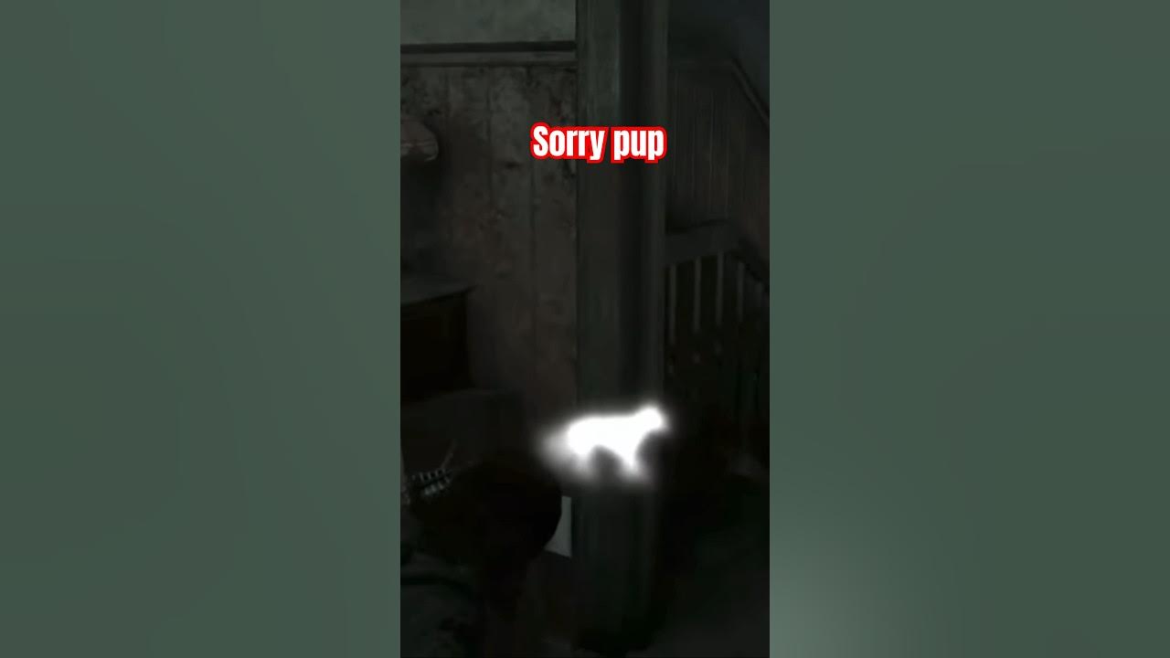 How Often To Take Dog Out When Potty Training How Often To Take Dog Out When Potty Training