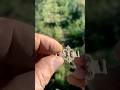 Détection de métaux : petit trésor #détecteur #treasure #passiondétection