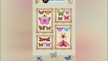 Satistory Tidy Up Level 12. Walkthrough Gameplay