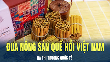 Đưa nông sản quế hồi Việt Nam ra thị trường quốc tế | VOV