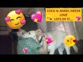 BIG FIGHT BETWEEN MUM, COCO &amp; ANGEL | WATCH THE FUNNY EPISODE OF, WHO LOVES WHO? WATCH THE DRAMA🥰😅🥰😅