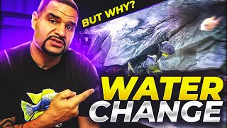 The REAL Benefits of a Water Change - (More Than You Think)