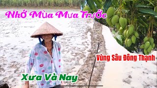 Nhớ Mùa Mưa Trước Cảnh Vùng Sâu Đông Thạnh Cần Giuộc Ngày Nay | Chạy Đường Ruộng Tưởng Không Lối đi