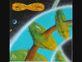 Ozric Tentacles - Space Between Your Ears