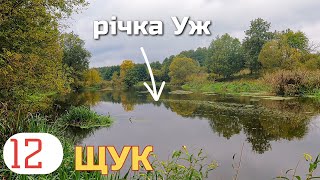 картинка: Весь день дощить,а Трофей не спить-На 1 проводку 3 Покльовки